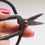 《新闻联播》今日直播:权威发布与深度解读 n75pgxn53