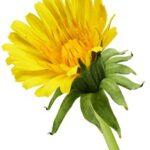 《新闻联播》昨日直播回顾与内容要点解析 qiw1ir70