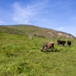 《新闻1十1》今日热点话题深度直播解析 uz757r00z